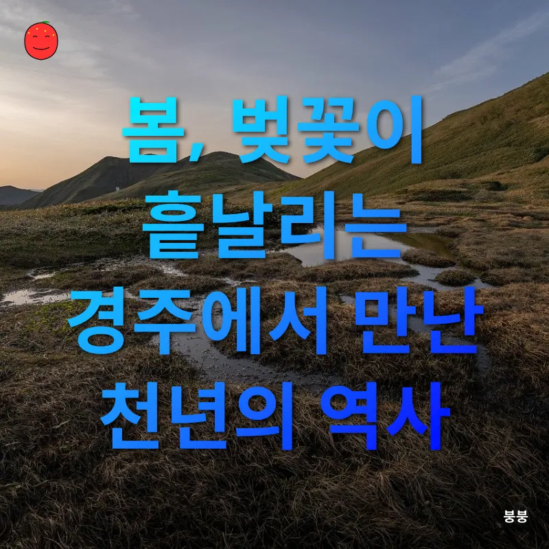 사계절 문화탐험_1
