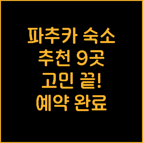 파추카 숙소 예약 고민 끝 최고의 선
