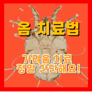 옴 치료방법