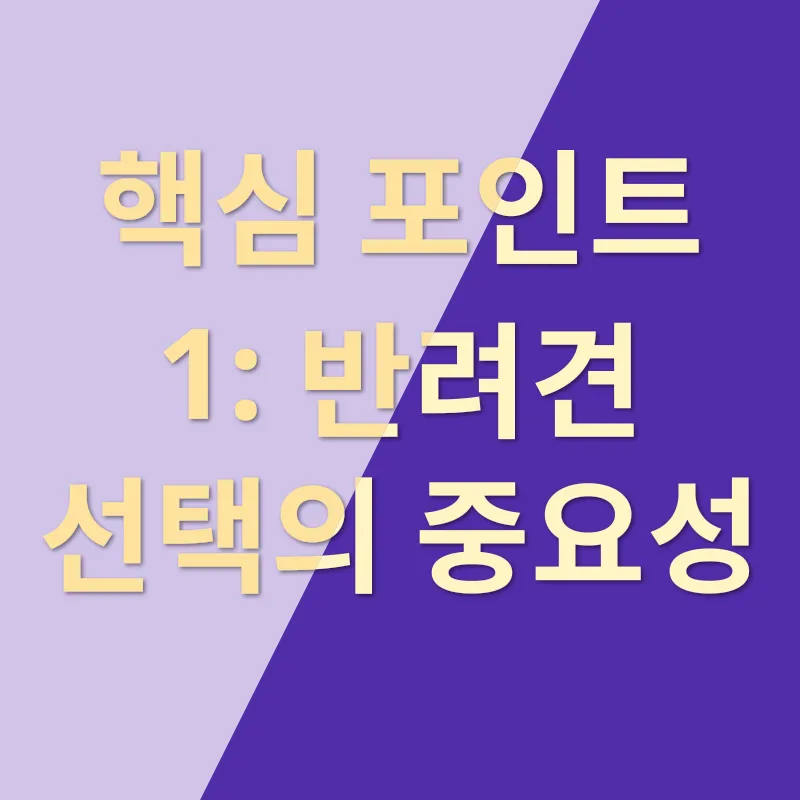 애견 입양_1