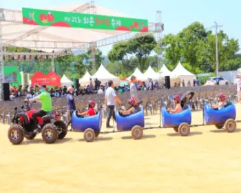 퇴촌 토마토 축제_19