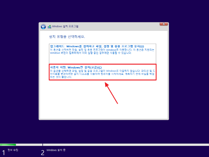 사용자 지정: Windows만 설치(고급) 선택