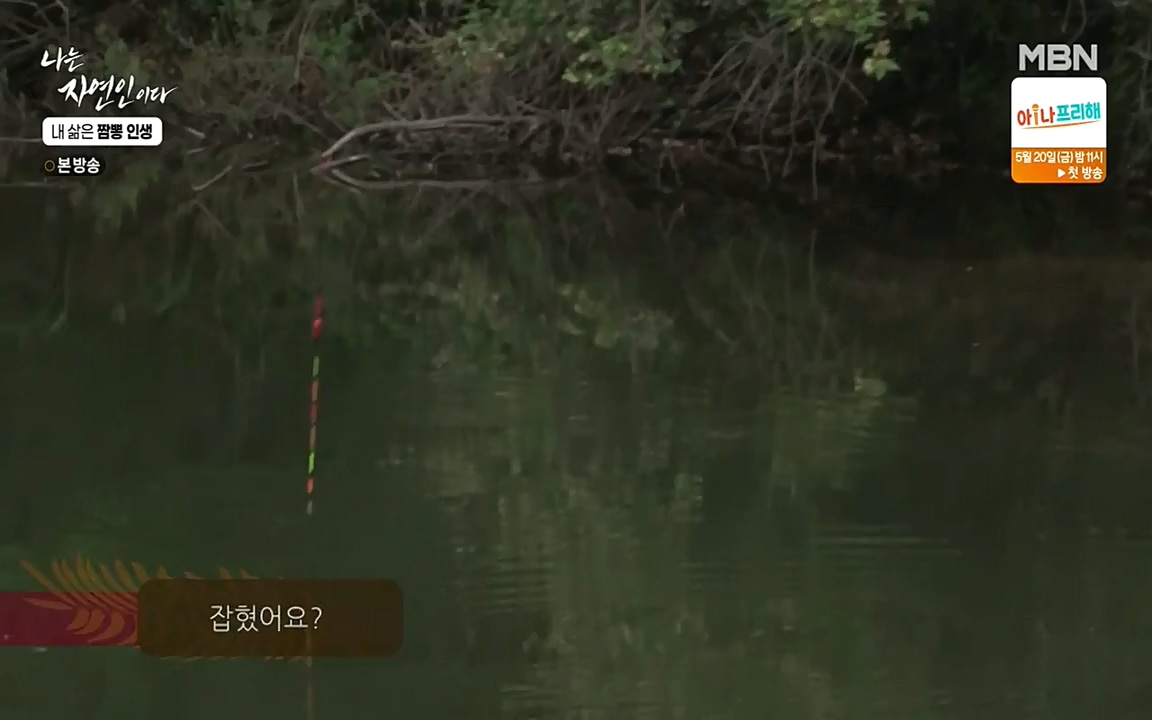 나는 자연인이다.E502.220519p-NEXT.mp4_20220519_182347.578.jpg