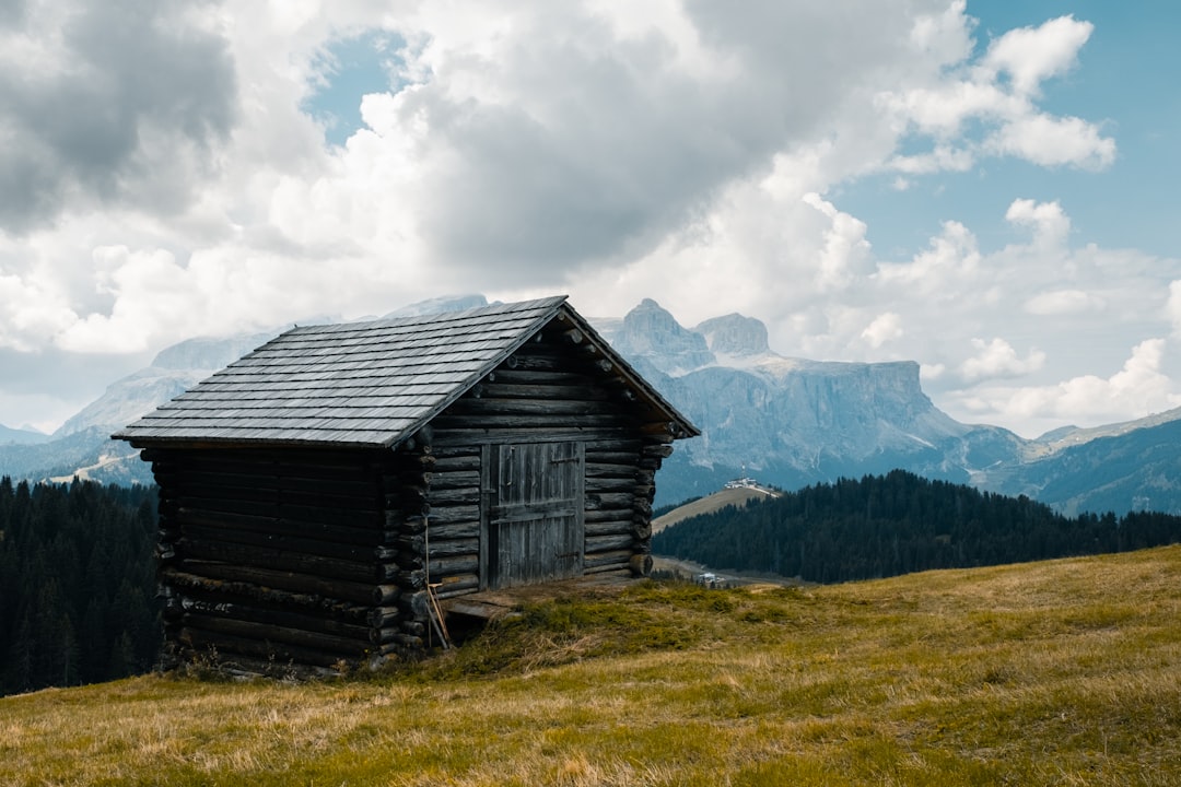 Shelter
