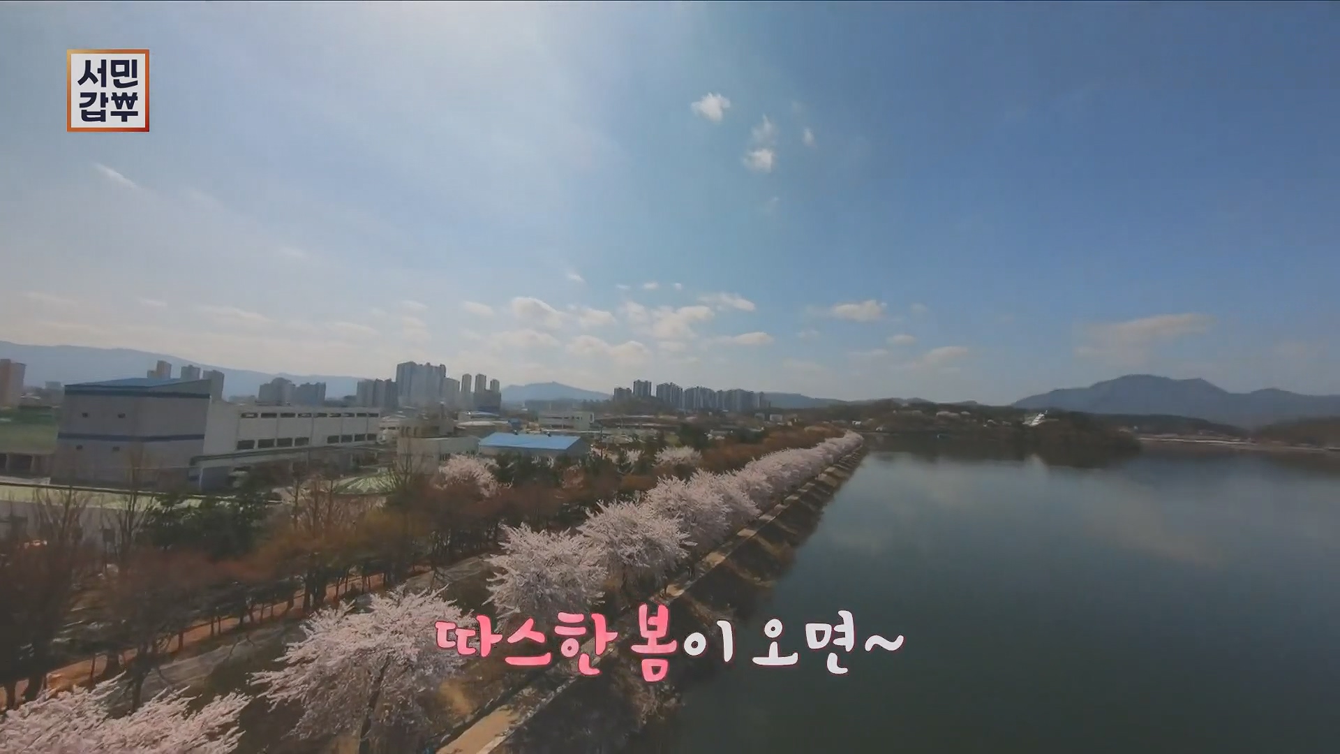 서민갑부.E434.230506p.H264-F1RST.mp4_20230507_175315.749.jpg