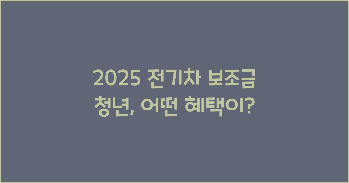 2025 전기차 보조금 청년