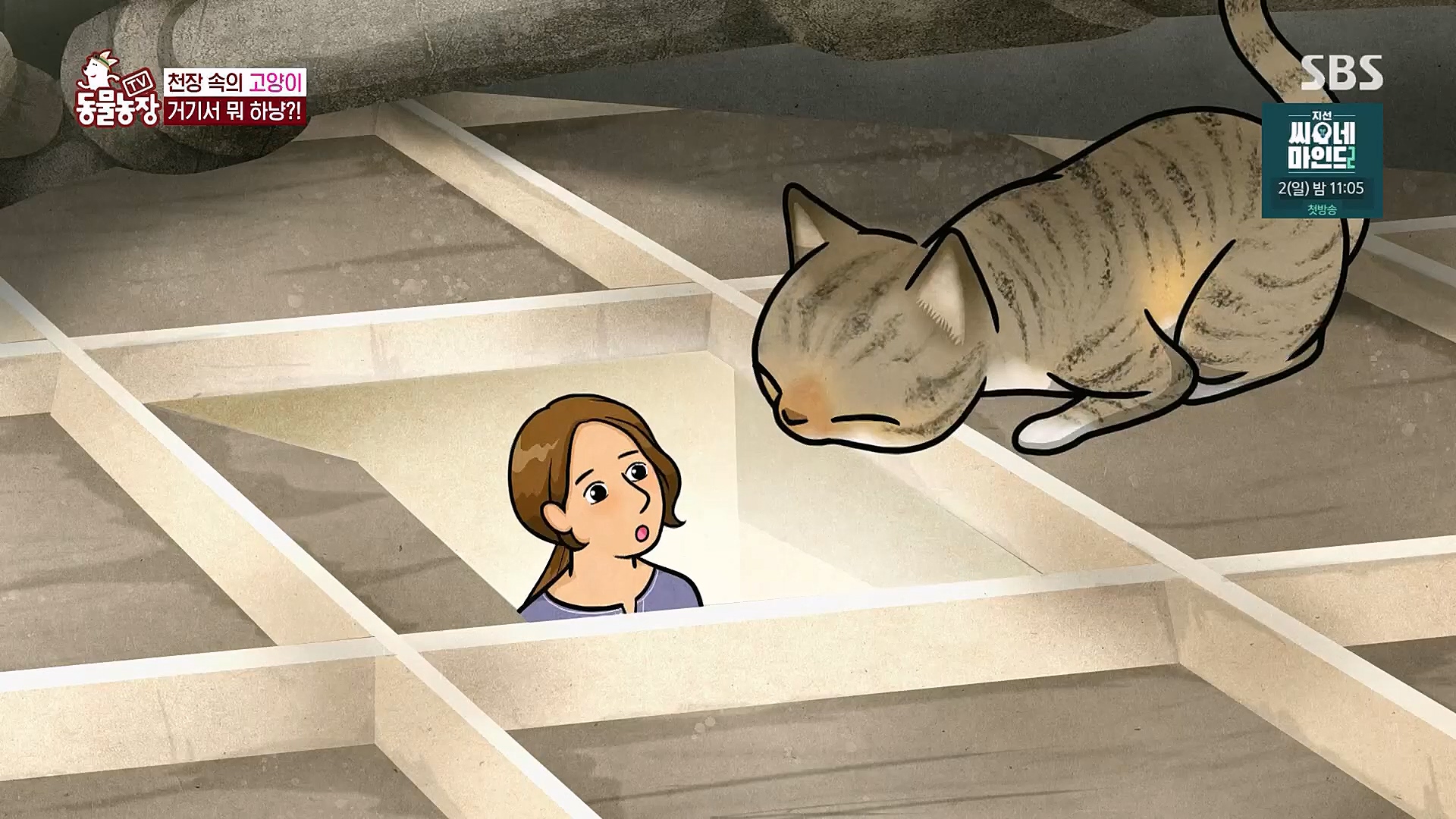 TV 동물농장.E1113.230326p.H264-F1RST.mp4_20230326_172452.054.jpg