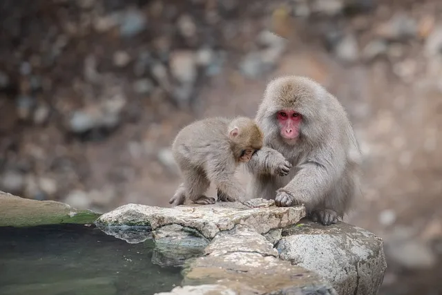 산속 온천 여행 경주 보문온천_4