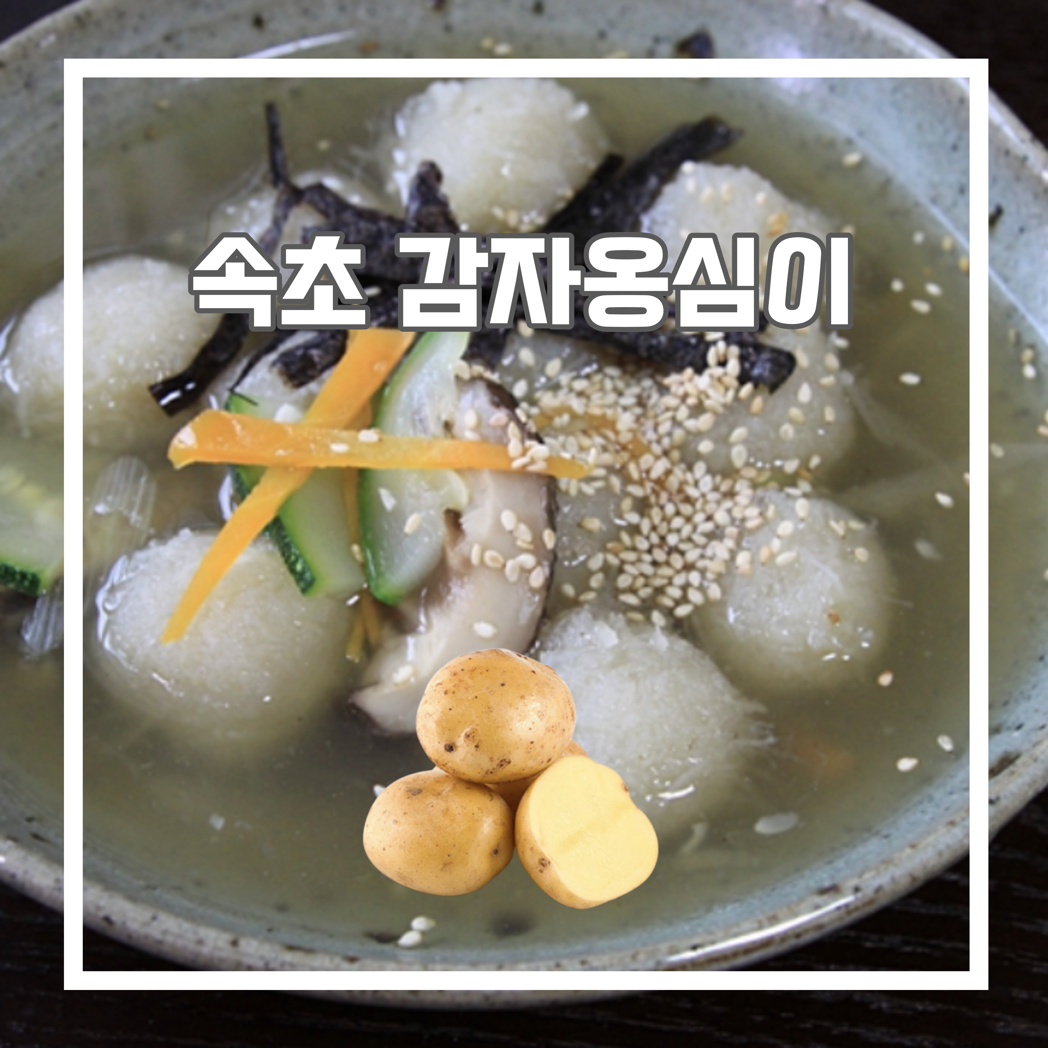  속초 맛집 속초 감자옹심이 교동 마카롱 소호 259