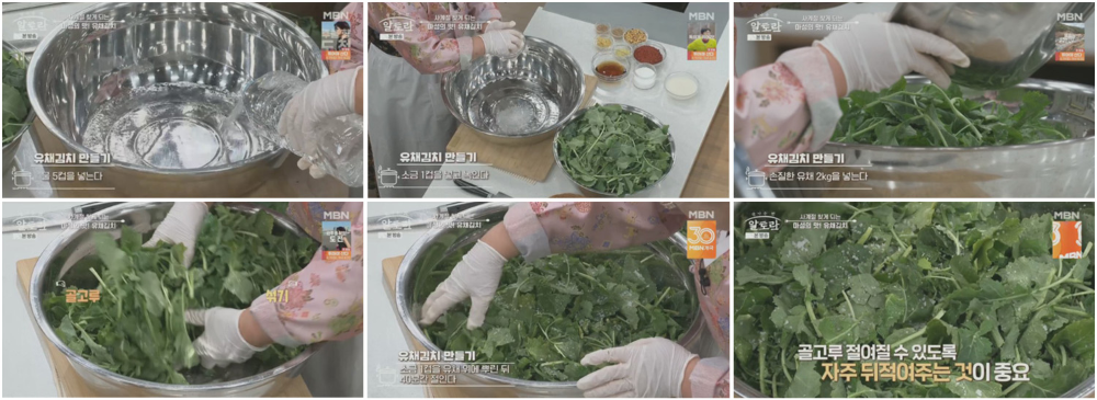 유채김치 레시피 이미지 3