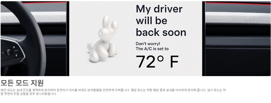 테슬라y