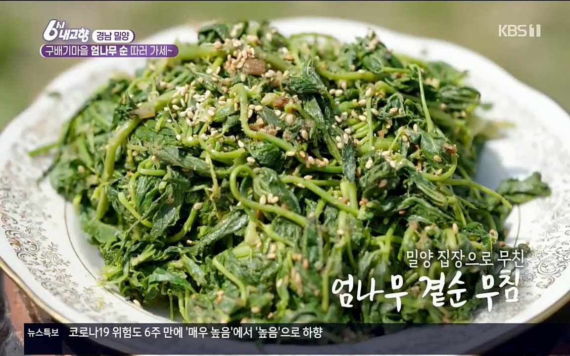 6시 내고향.E7510.220414p.H264-F1RST.mp4_20220419_182328.133.jpg