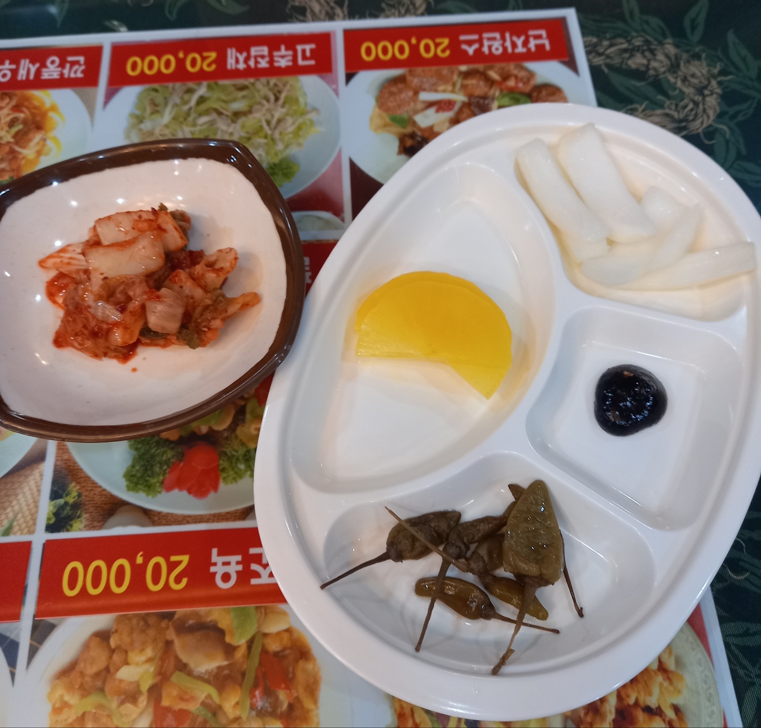 동보성 6