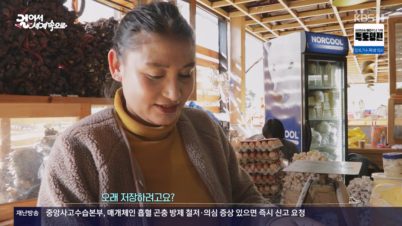 걸어서 세계속으로.E819.231126p-NEXT.mp4_20231126_173636.795.jpg
