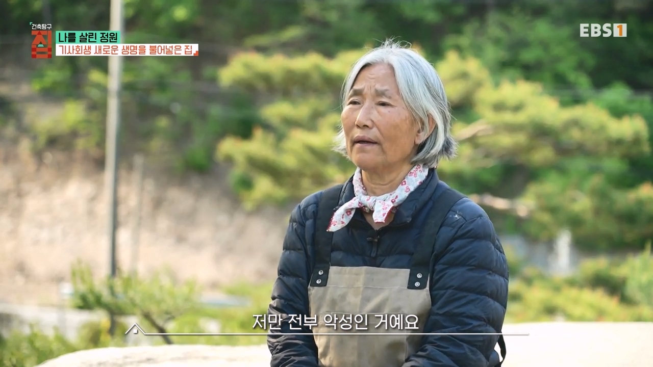 TV - 전 국민의 평생학교 EBS나를 살린 정원.mp4_20230814_210632.888.jpg