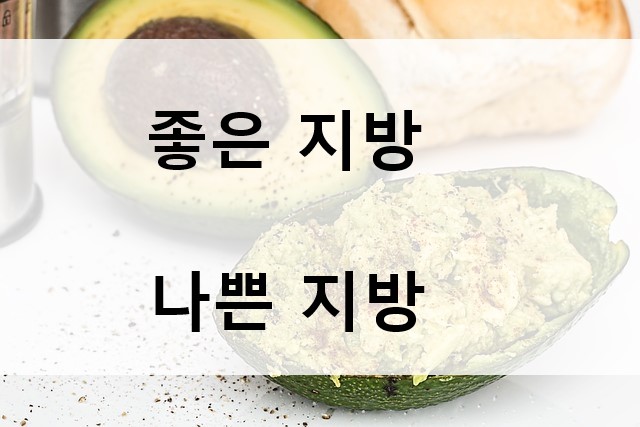 좋은 지방 나쁜지방