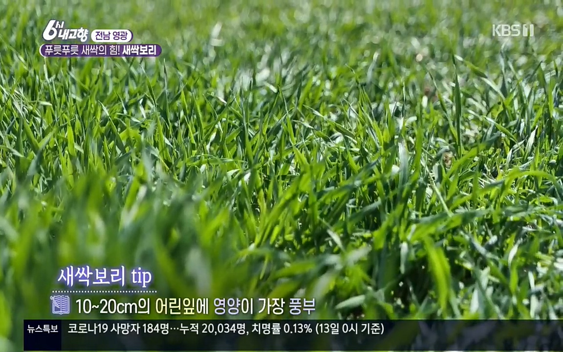 6시 내고향.E7510.220414p.H264-F1RST.mp4_20220419_182534.081.jpg