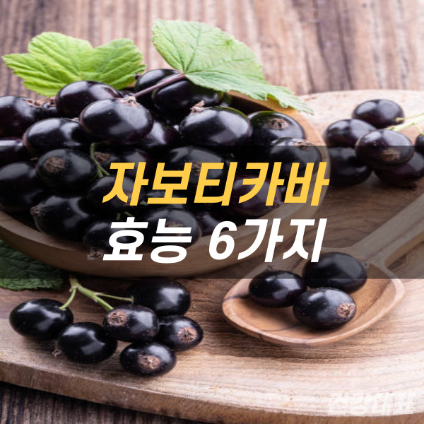 자보티카바 효능 목록