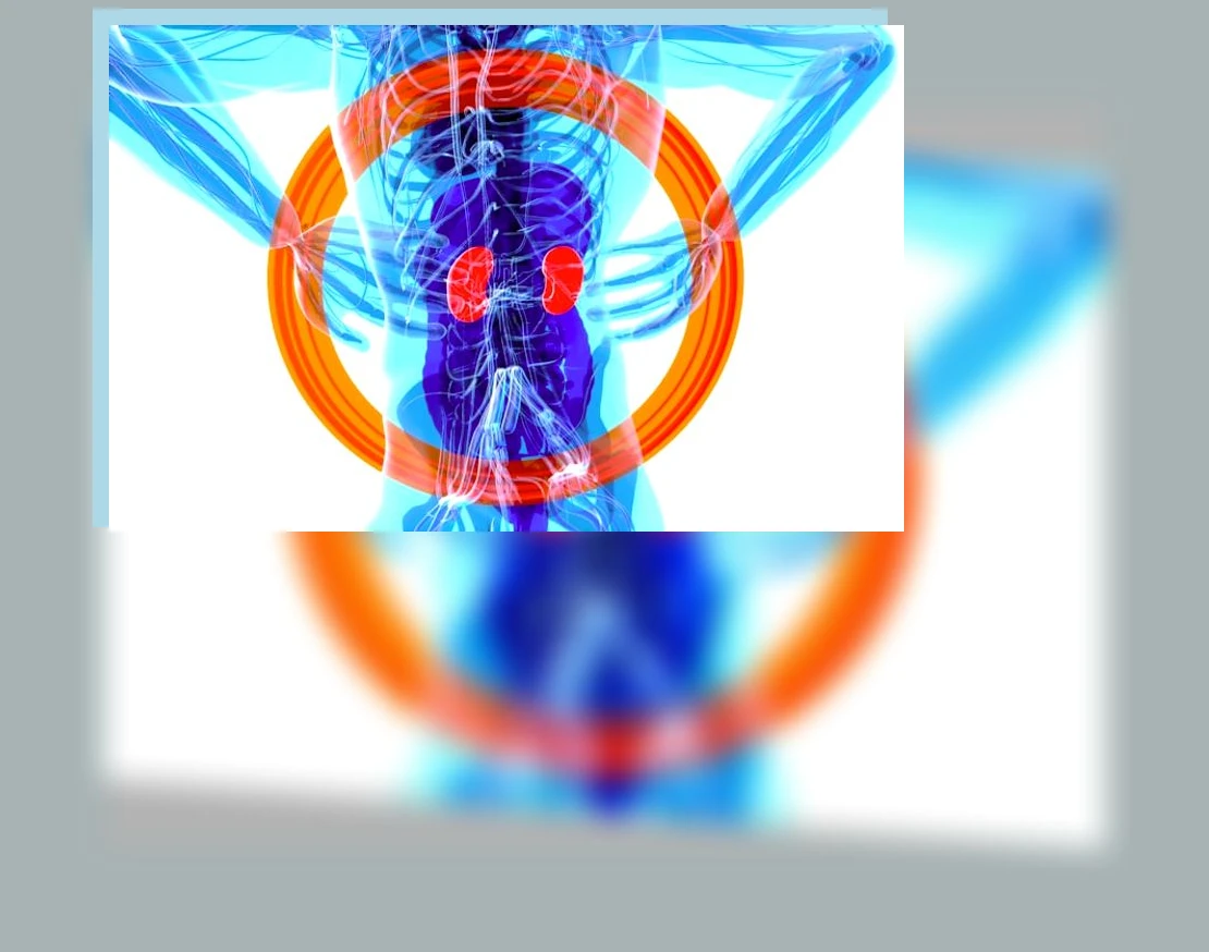 신장 건강_1_subsection
