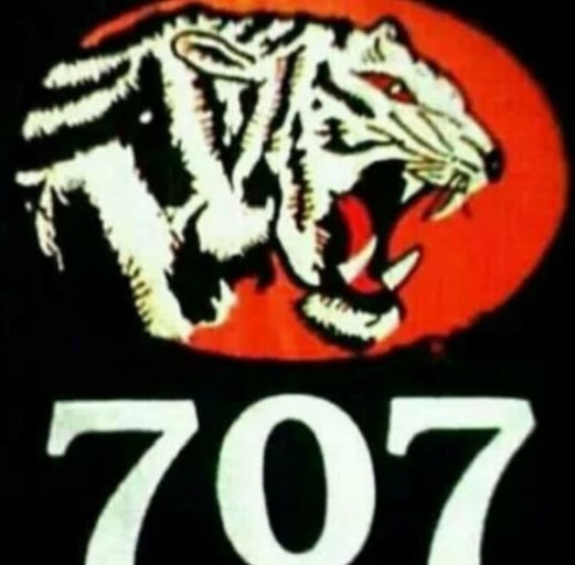707특수임무단