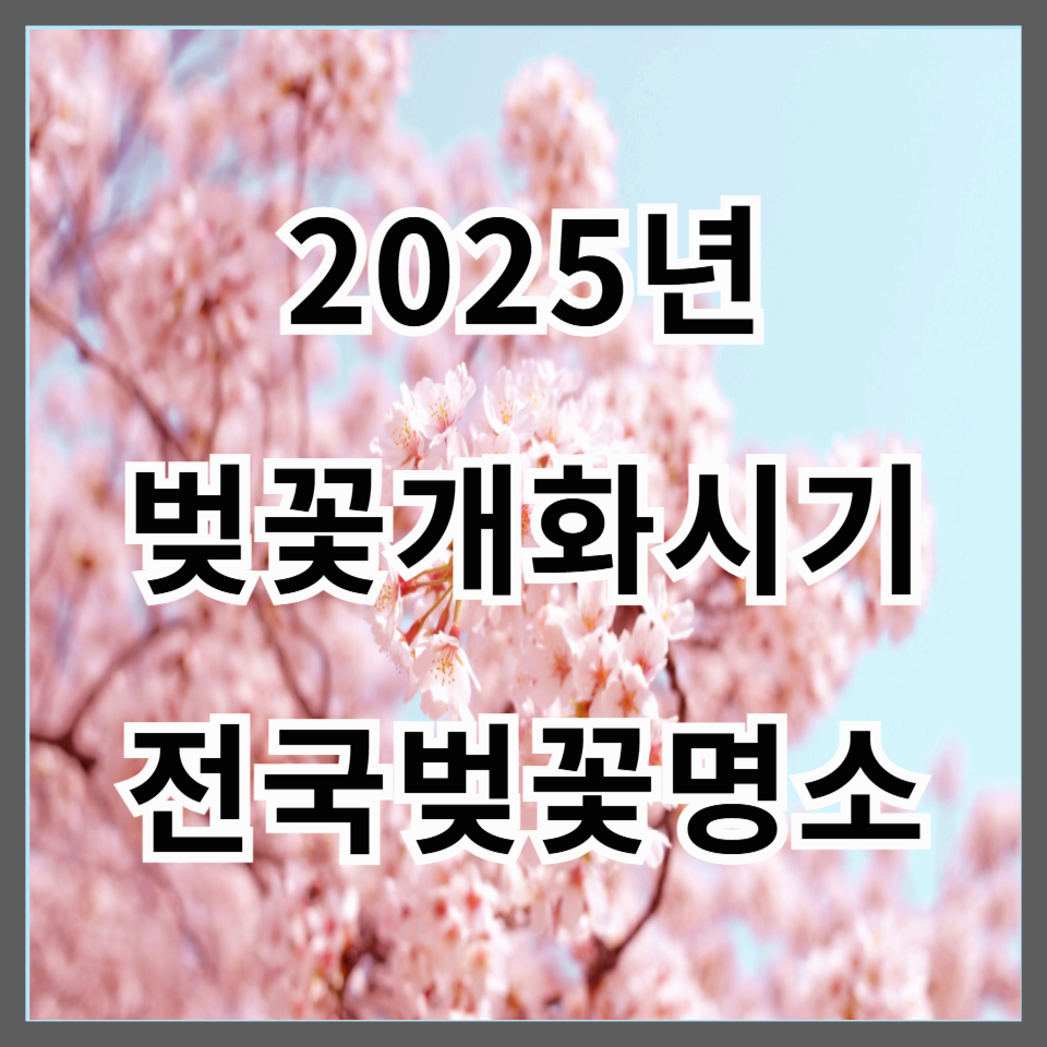2025 벚꽃 개화시기 예상 및 전국 벚꽃 명소 추천