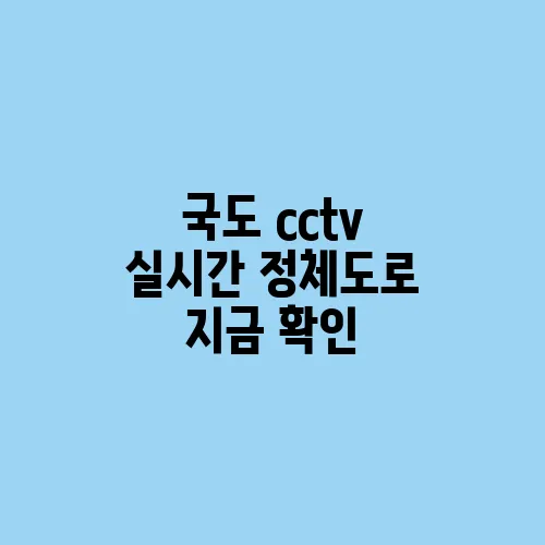 국도 cctv 실시간 정체도로 지금 확인