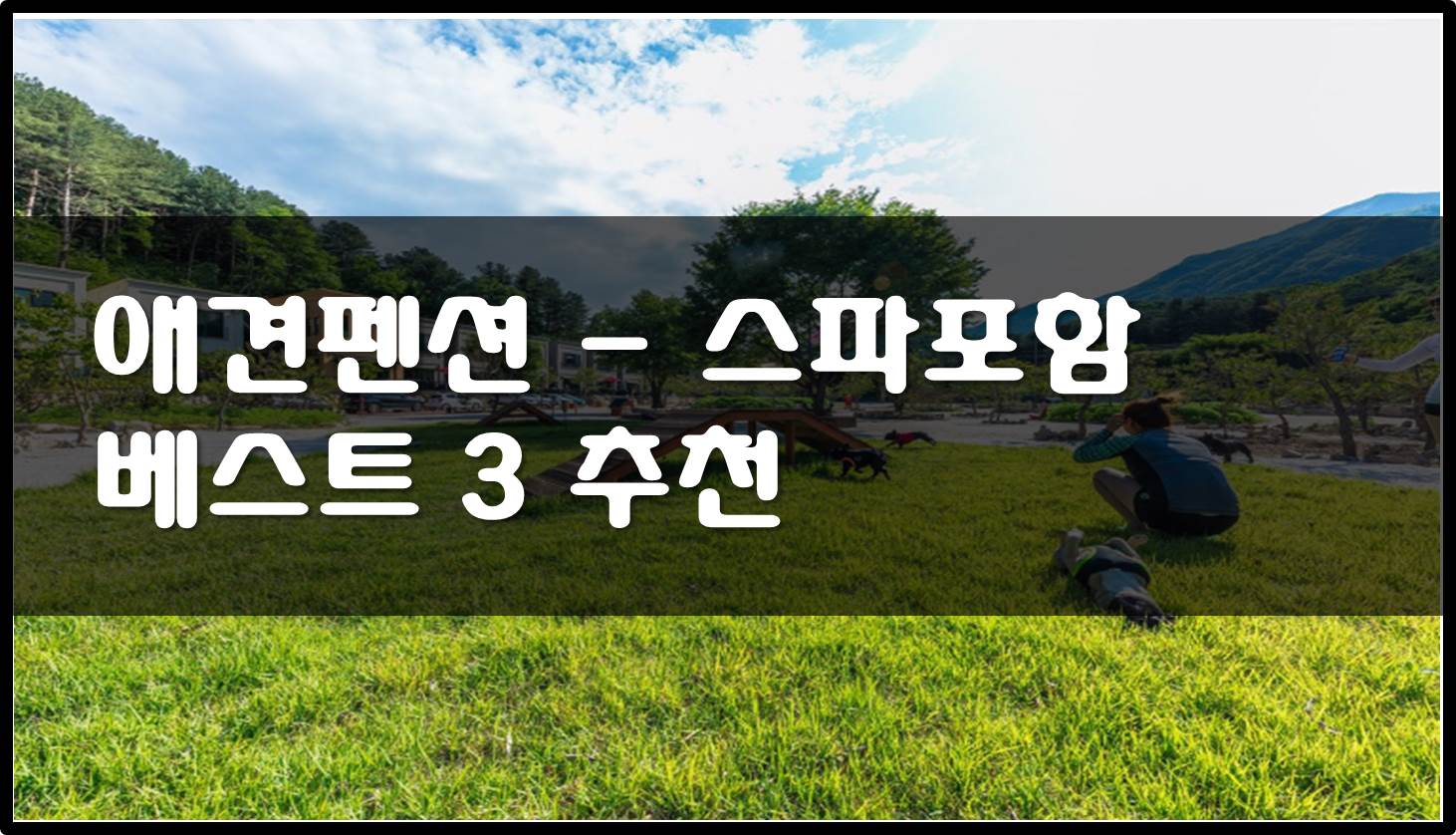 애견펜션 - 베스트 3곳 추천 (스파 가능)