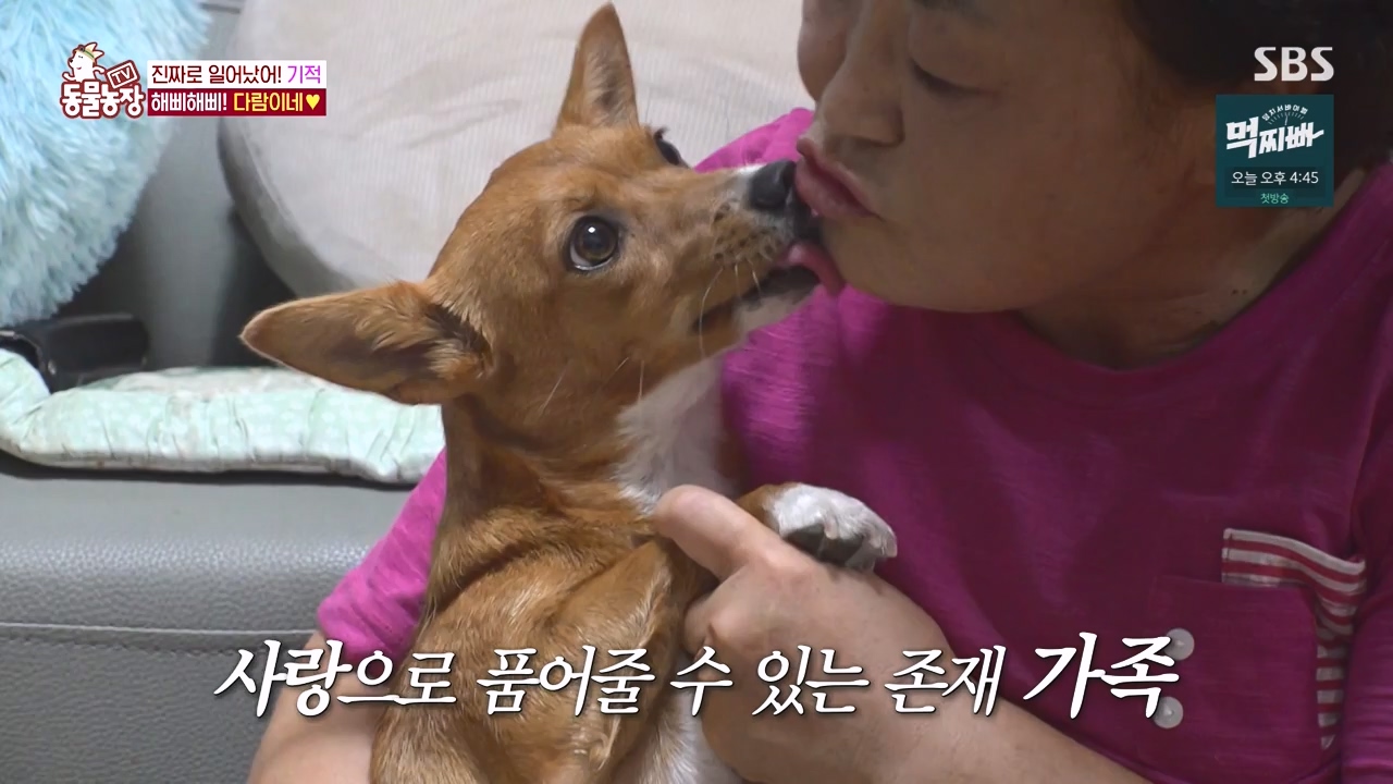 TV 동물농장.E1140.231009p-NEXT.mp4_20231008_174822.842.jpg
