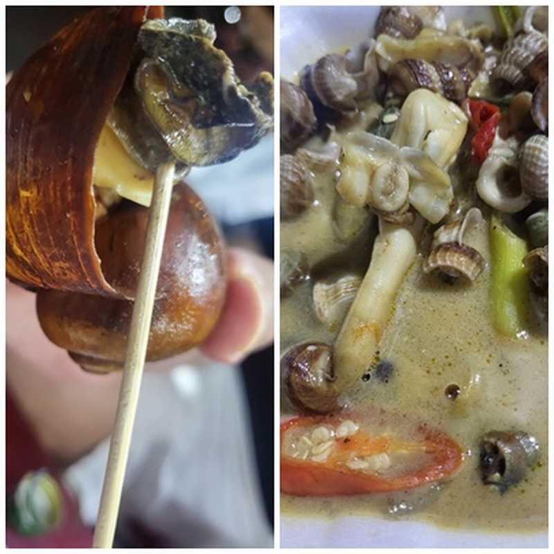 다낭 선짜야시장 고동 종류