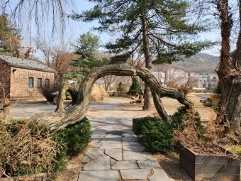 장흥 가볼만한곳 베스트10 현지인 추천 필수코스_7