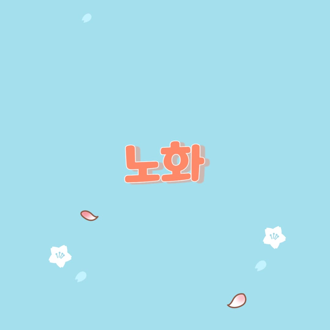  노화의 원인과 신체에 미치는 영향