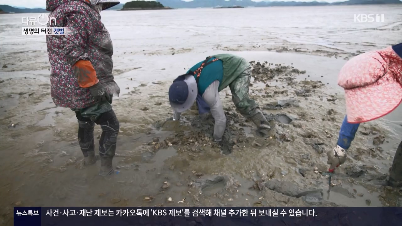 다큐 온.E206.230723p-NEXT.mp4_20230724_214215.928.jpg