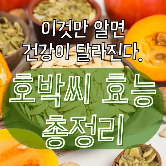 호박씨 효능