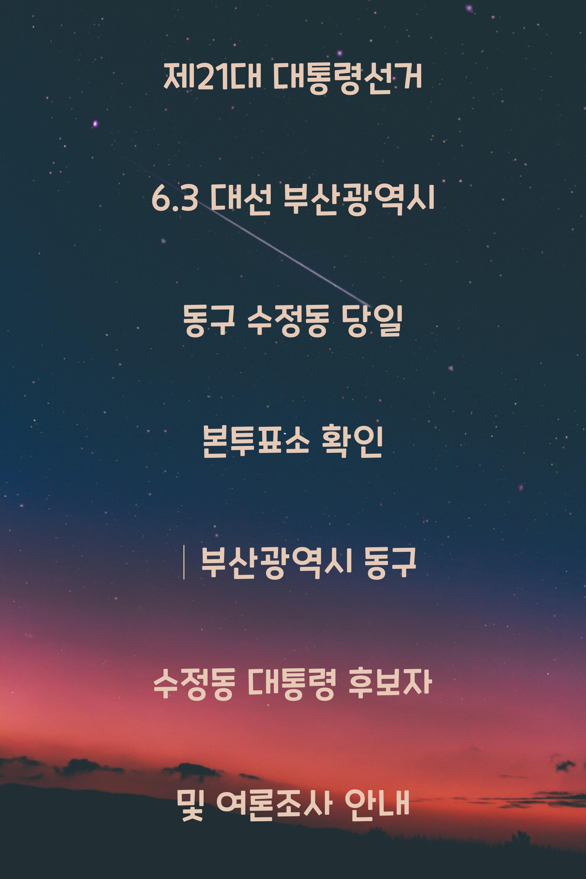 제21대 대통령선거 6.3 대선 부산광역시 동구 수정동 당일 본투표소 안내 │부산광역시 동구 수정동 대통령 후보자 및 여론조사 확인