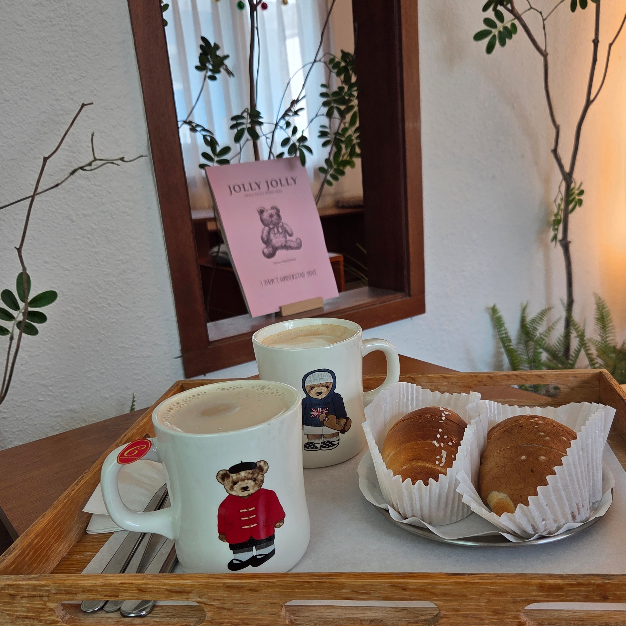 코숑 대표 사진