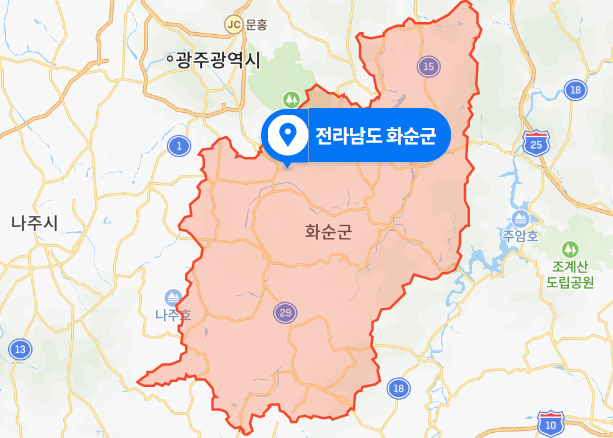  전남 화순 렌터카 뺑소니 사망사건 (2020년 10월 사건)