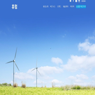  휴럼 주식 상장, 체크 포인트