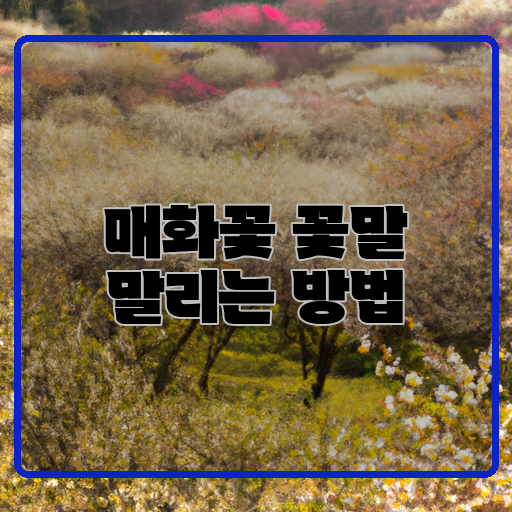  매화꽃의 굳어버리지 않는 비결, 말리는 방법