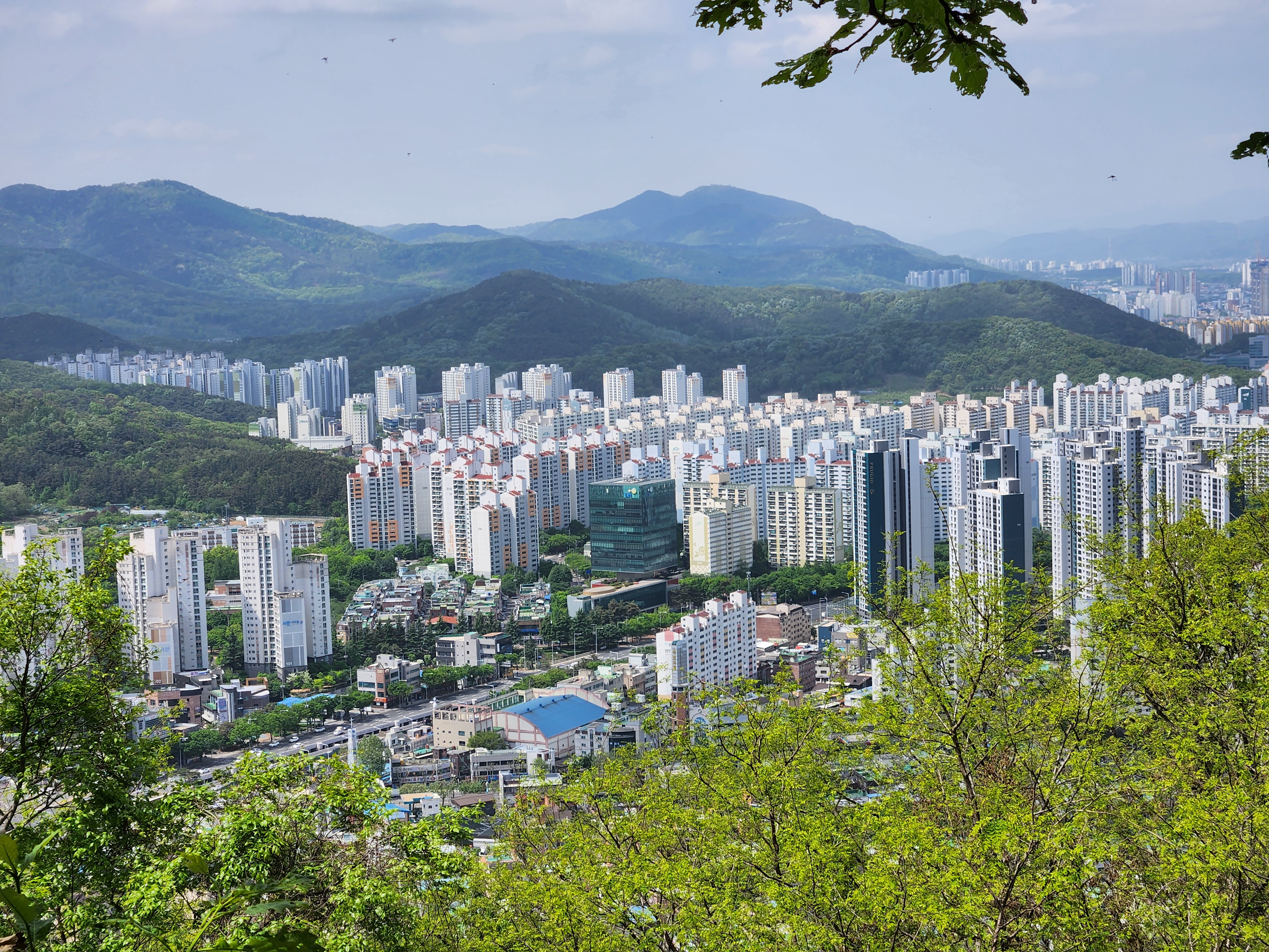 상인동 대덕산 (14)