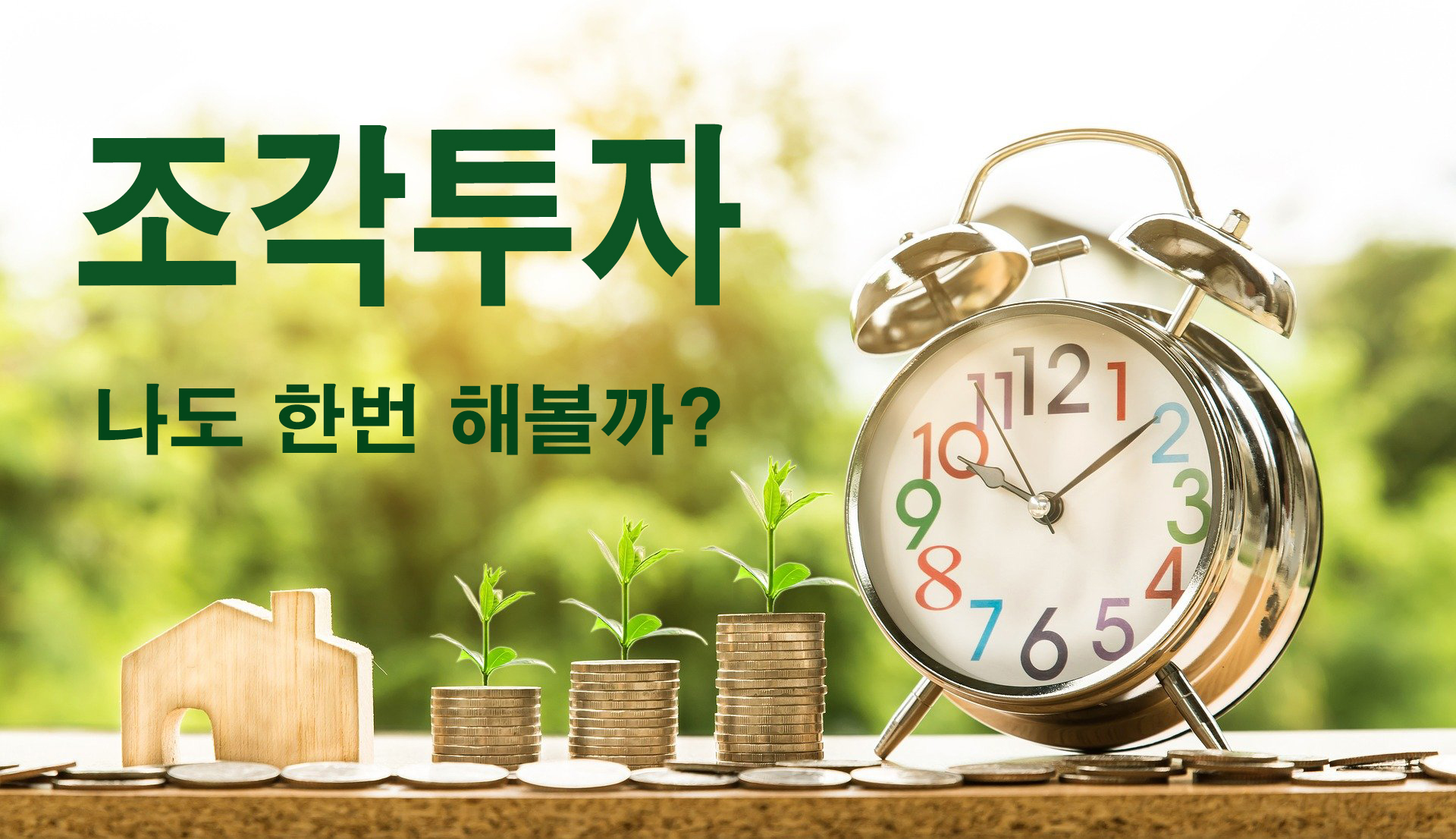 조각투자 나도 한번 해볼까?