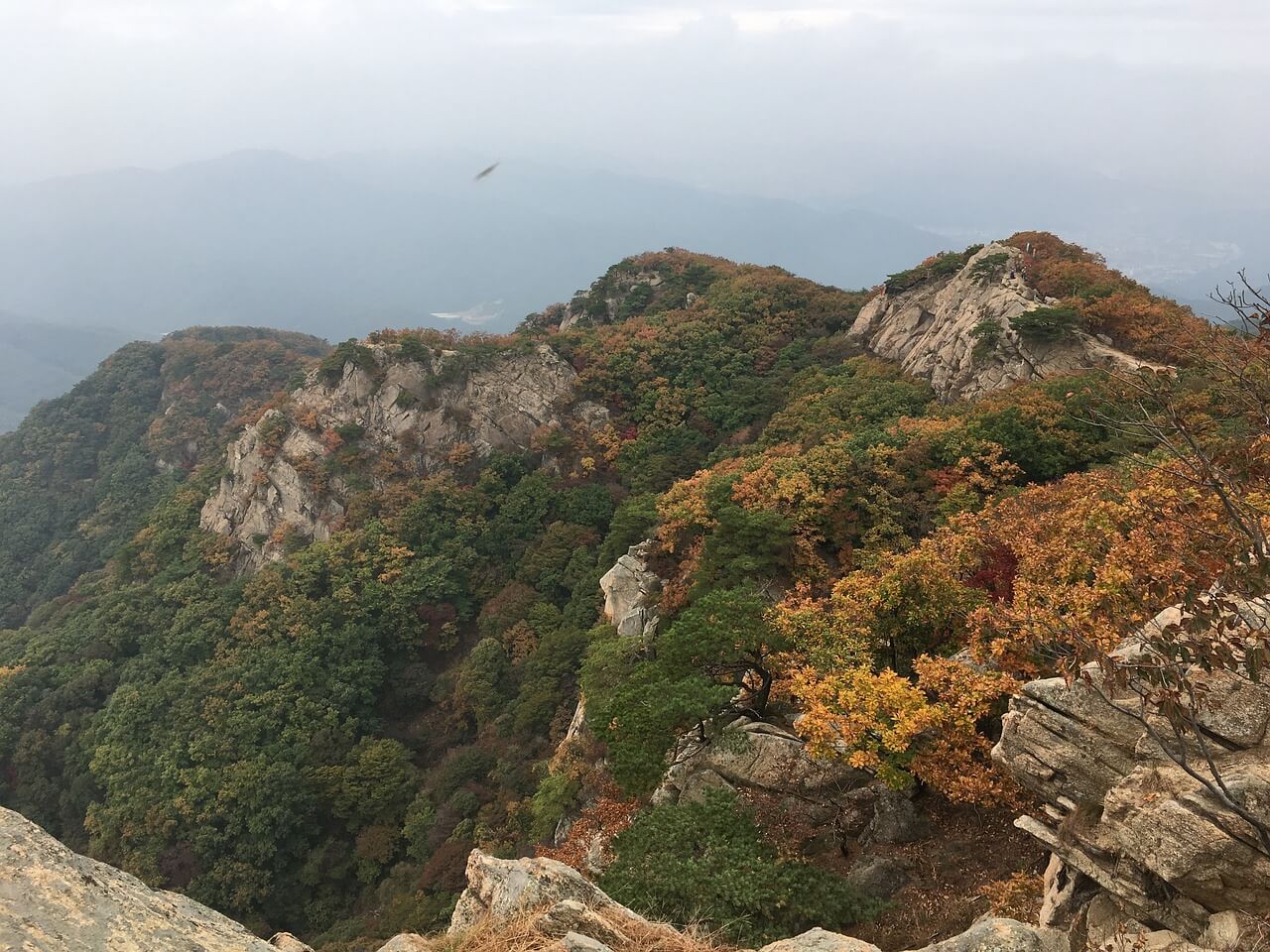 전국 가을 단풍 절정 시기