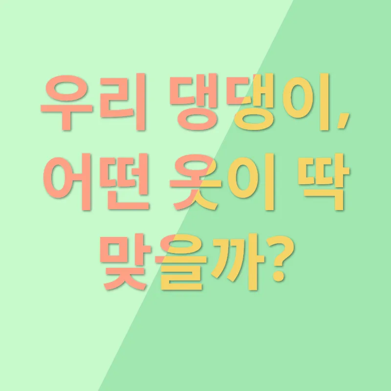 강아지 옷_1