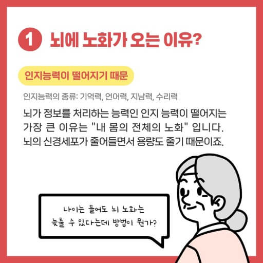 뇌노화 원인