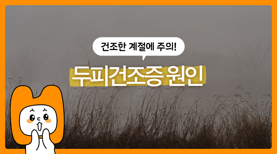 두피가 따갑다면? 춥고 건조한 날씨에 고민인 두피 건조증 해결법!