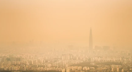미세먼지 관련사진