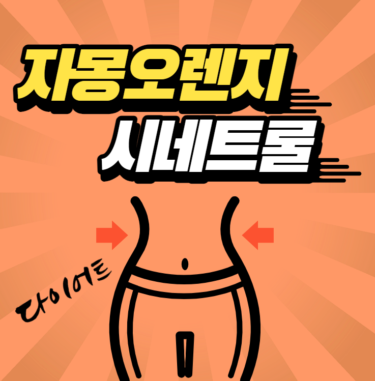  비만정체기 극복하는 뱃살다이어트 '자몽 시네 트롤과 나린진'