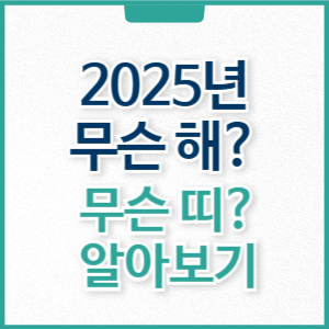 2025년 무슨해? 무슨띠 인가요