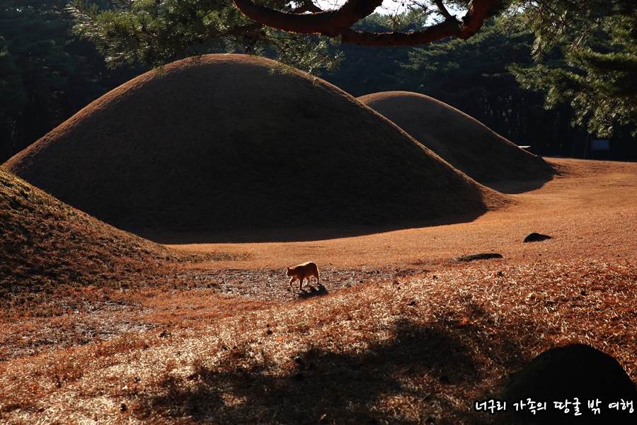 Best 해외여행지 순위 톱 10 해외여행 추천 론리 플래닛이 선택한 2022년 13