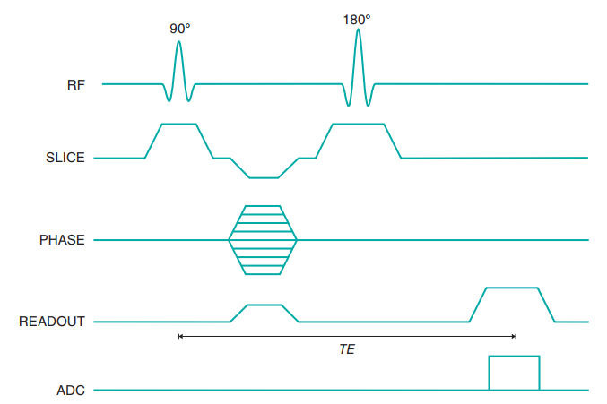 standard spin echo 시퀀스의 타이밍 다이어그램