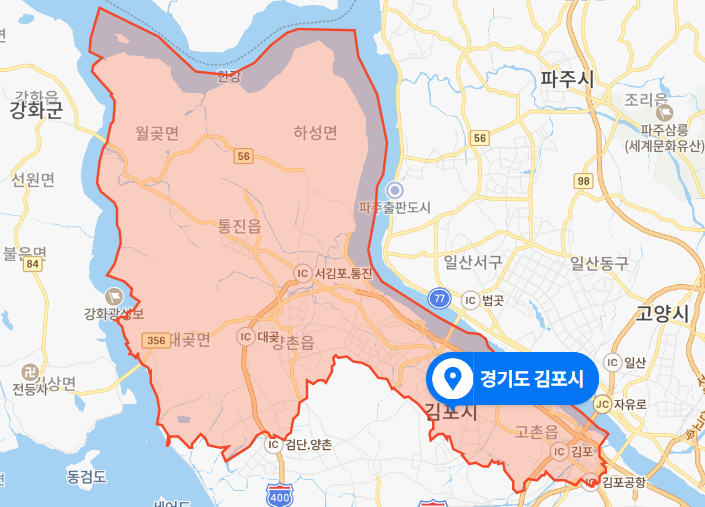  경기도 김포시 뺑소니 음주운전 사망사건 (2020년 11월 12일)